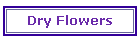 Dry Flowers