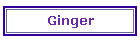 Ginger